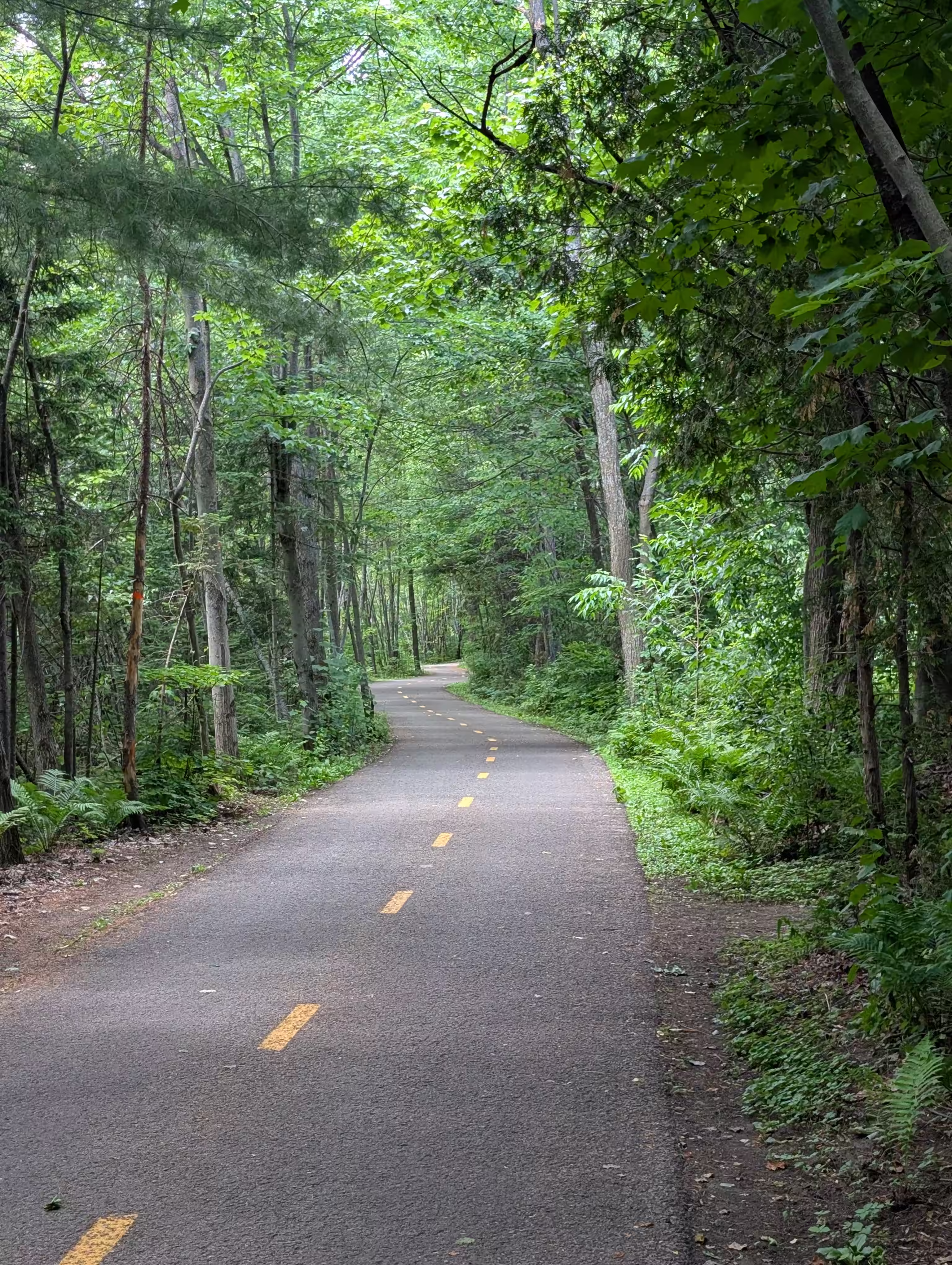 Ptit Train du Nord 1