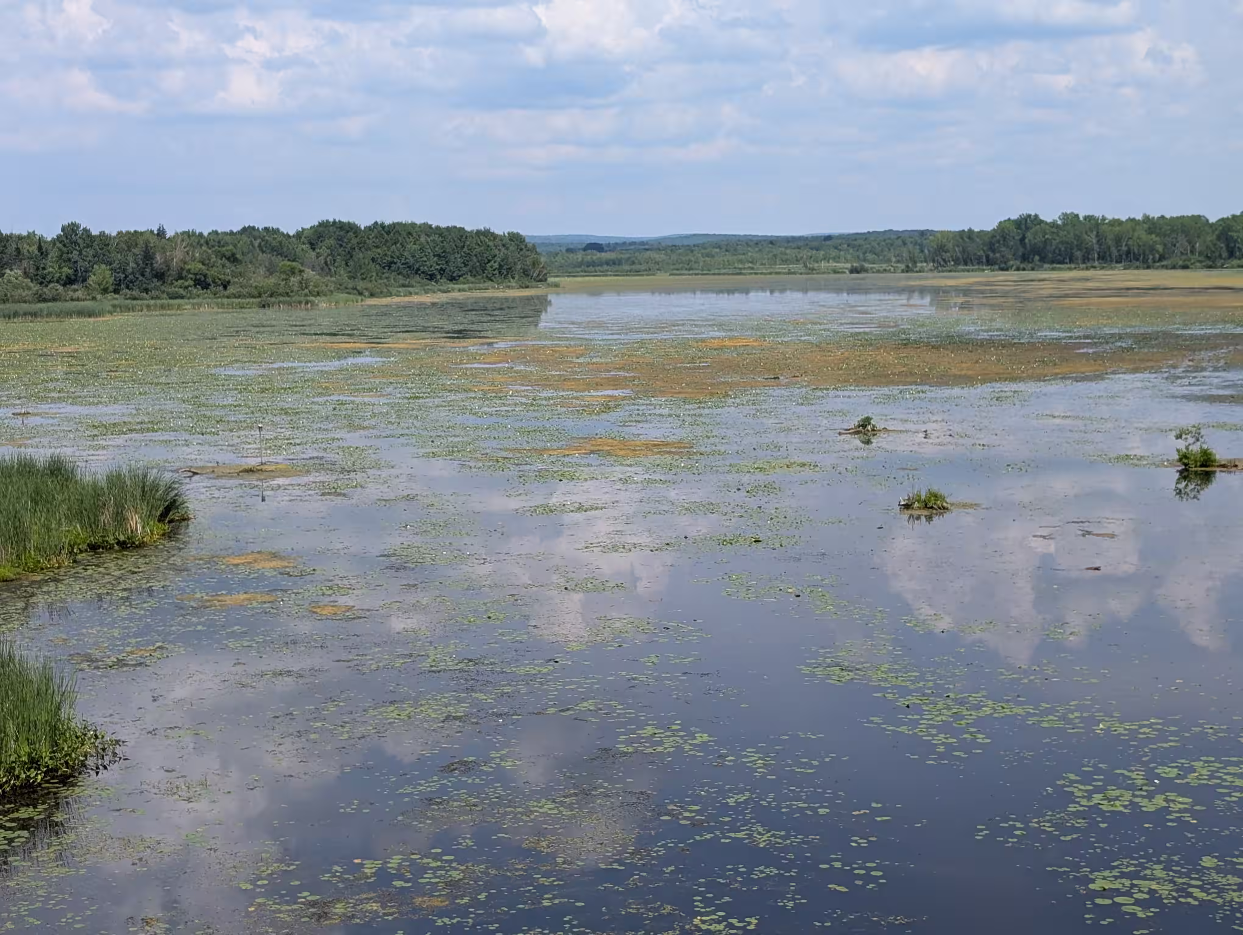 Artria Cultural Loop E