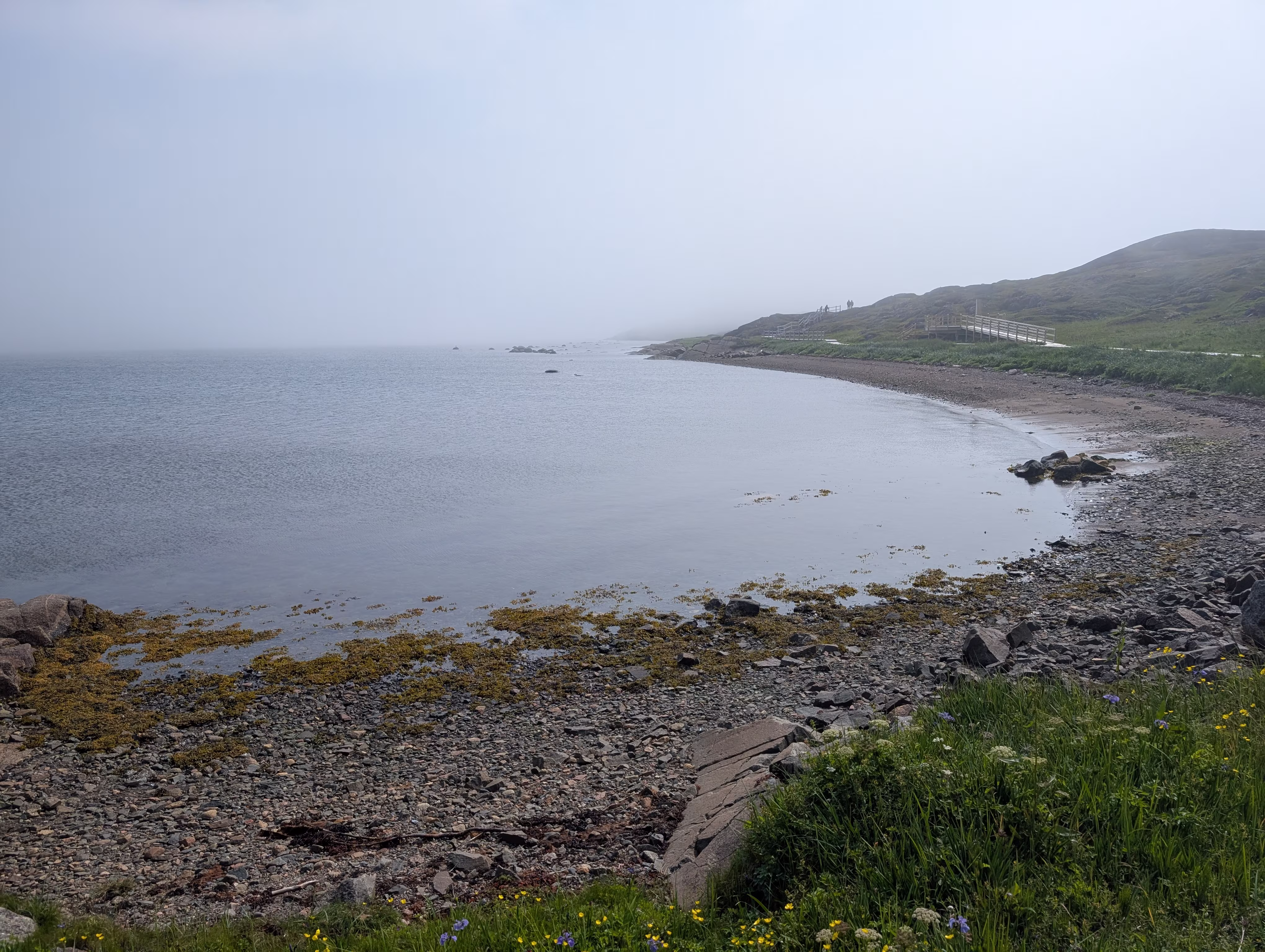 red-bay 17