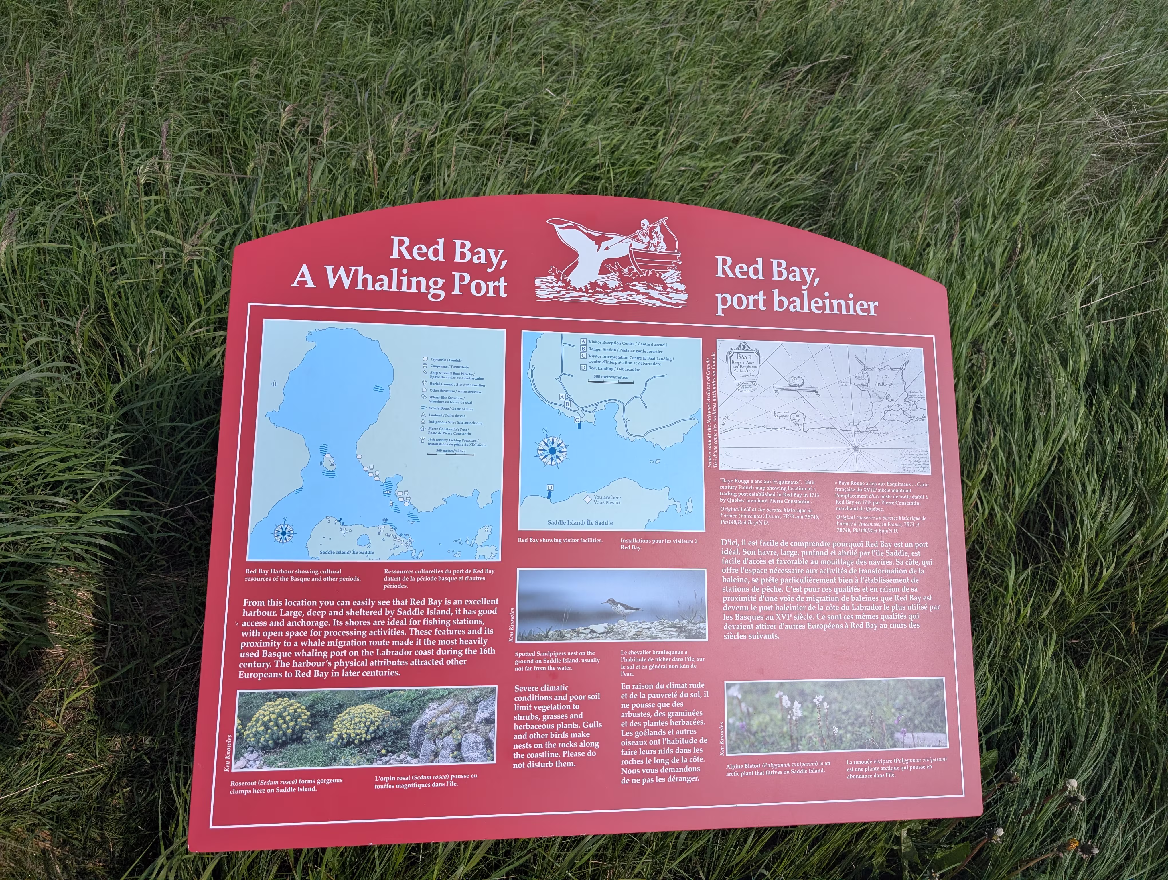 red-bay 18