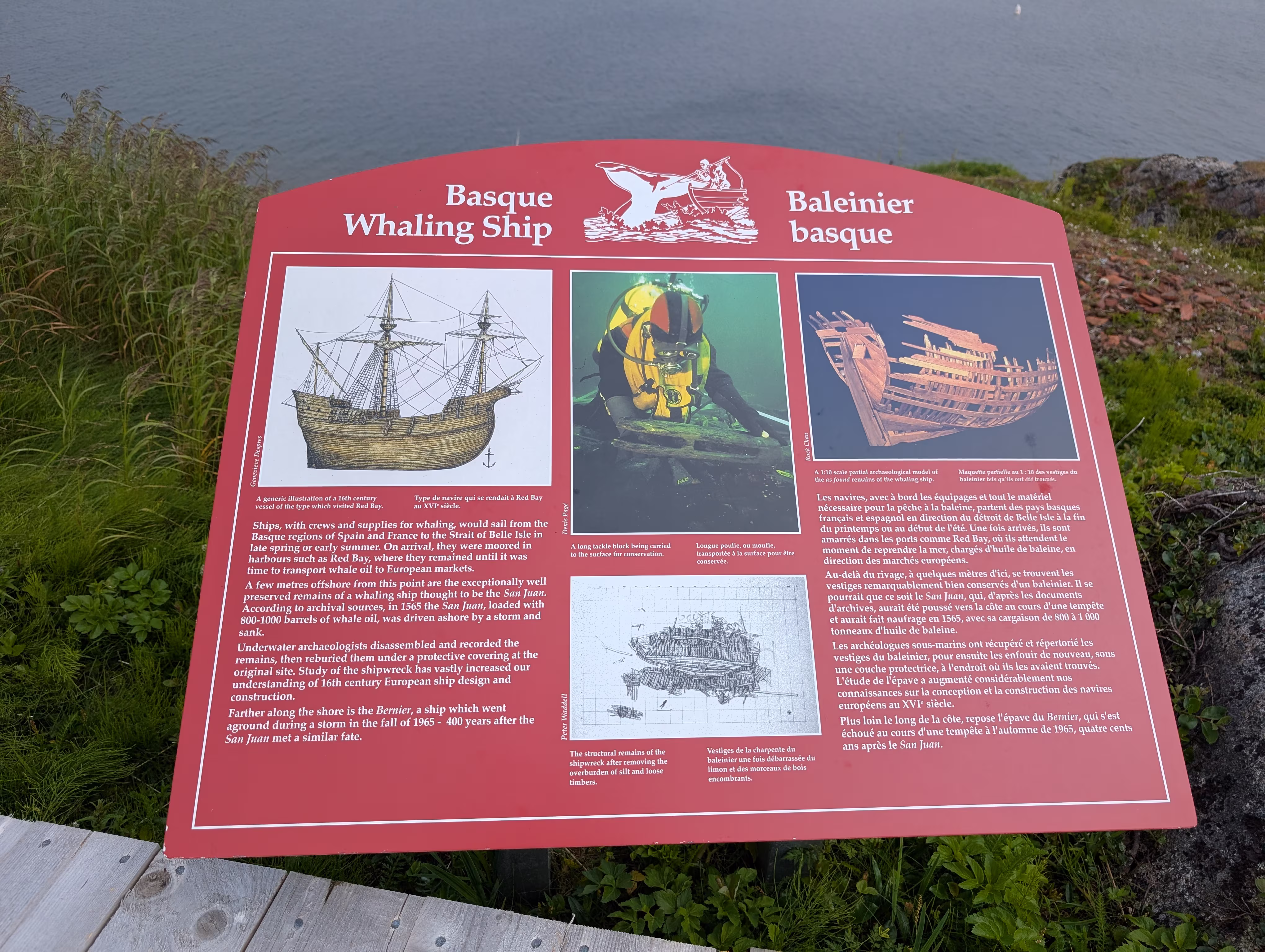 red-bay 19