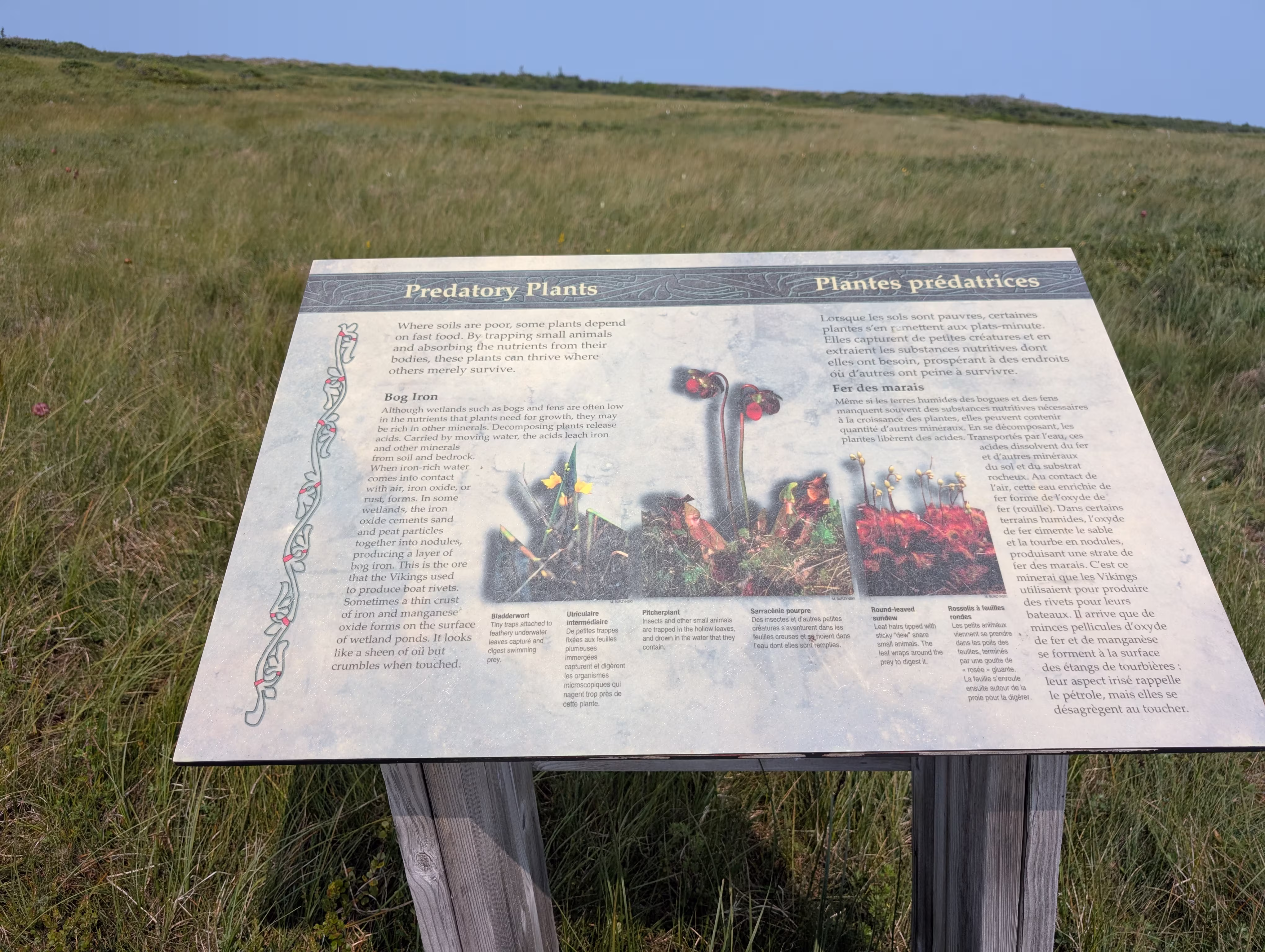 birchy-nuddick-trail 2