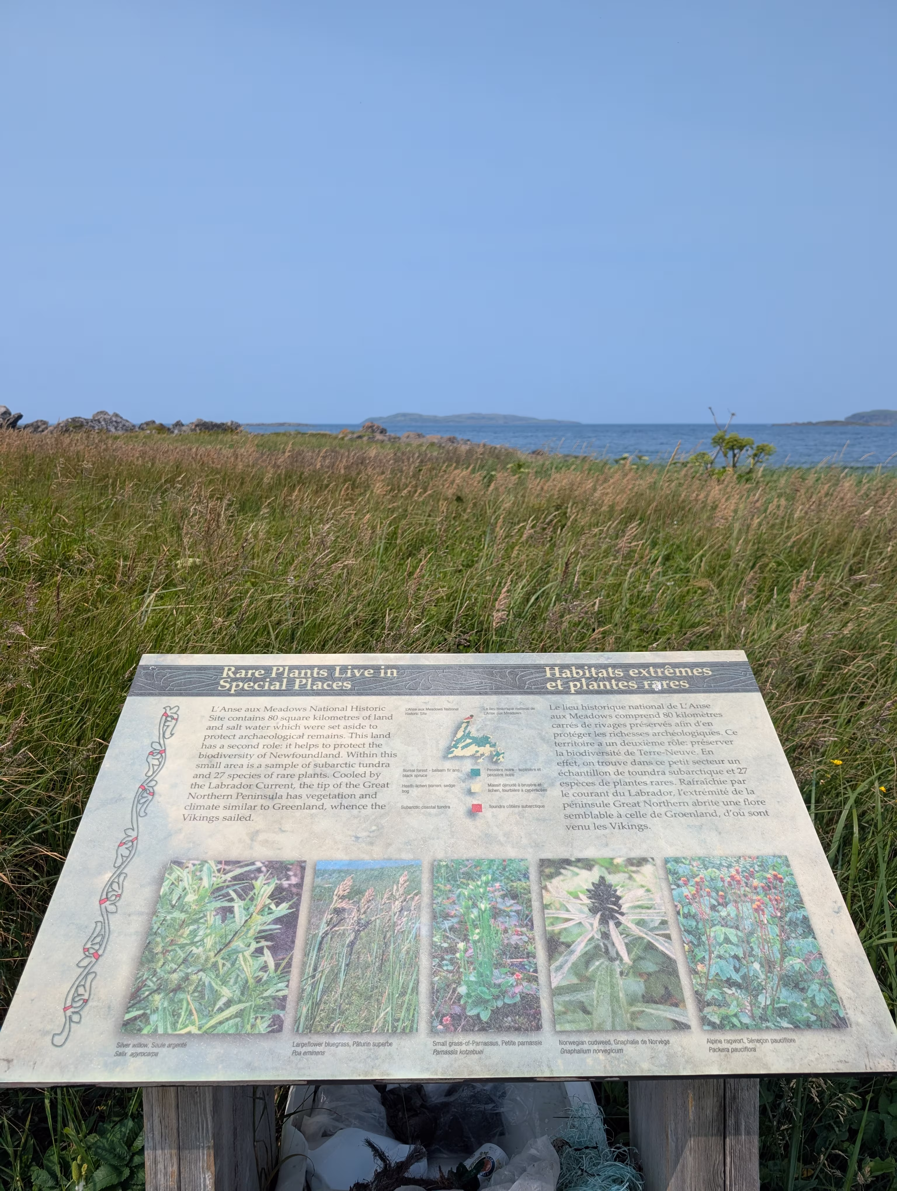 birchy-nuddick-trail 5