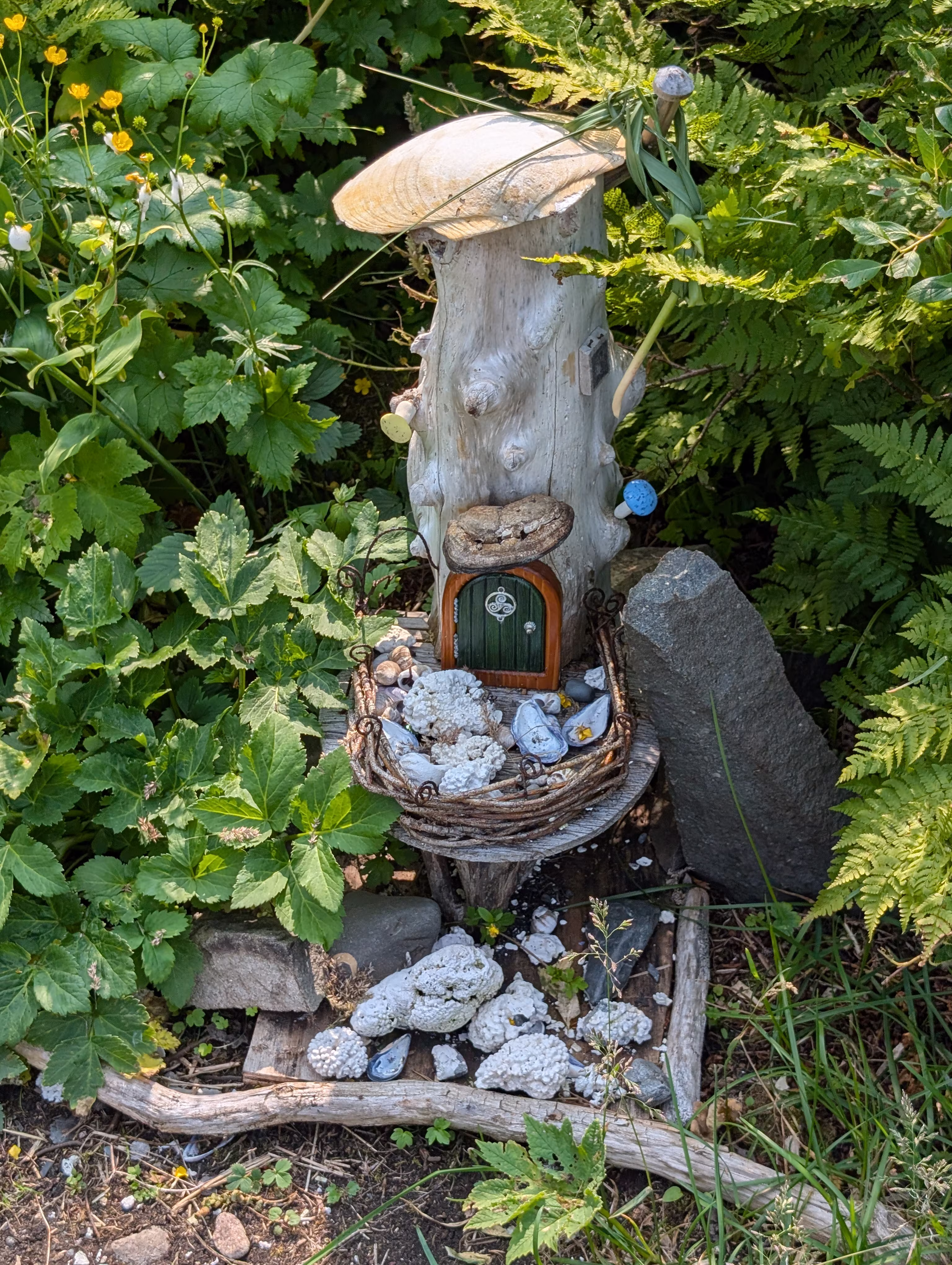 birchy-nuddick-trail 12