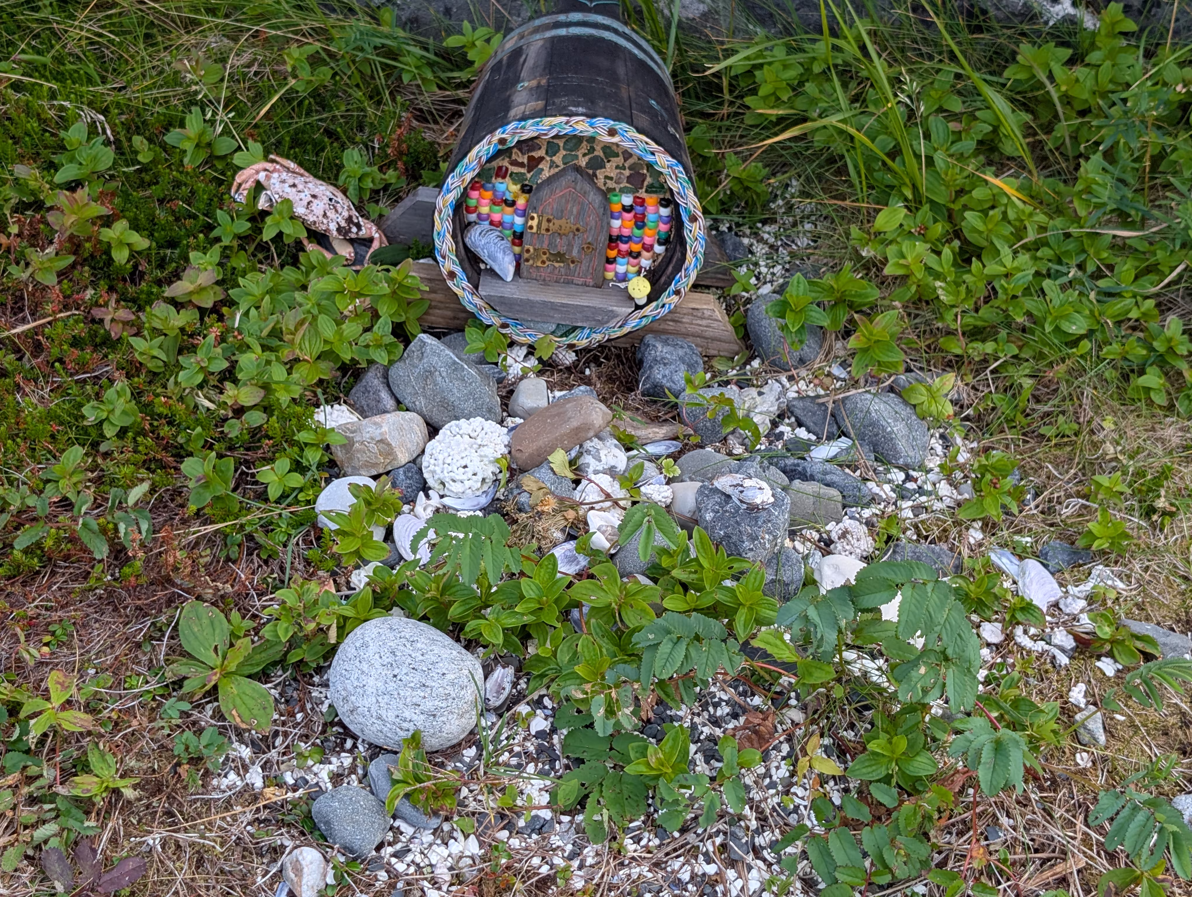 birchy-nuddick-trail 13