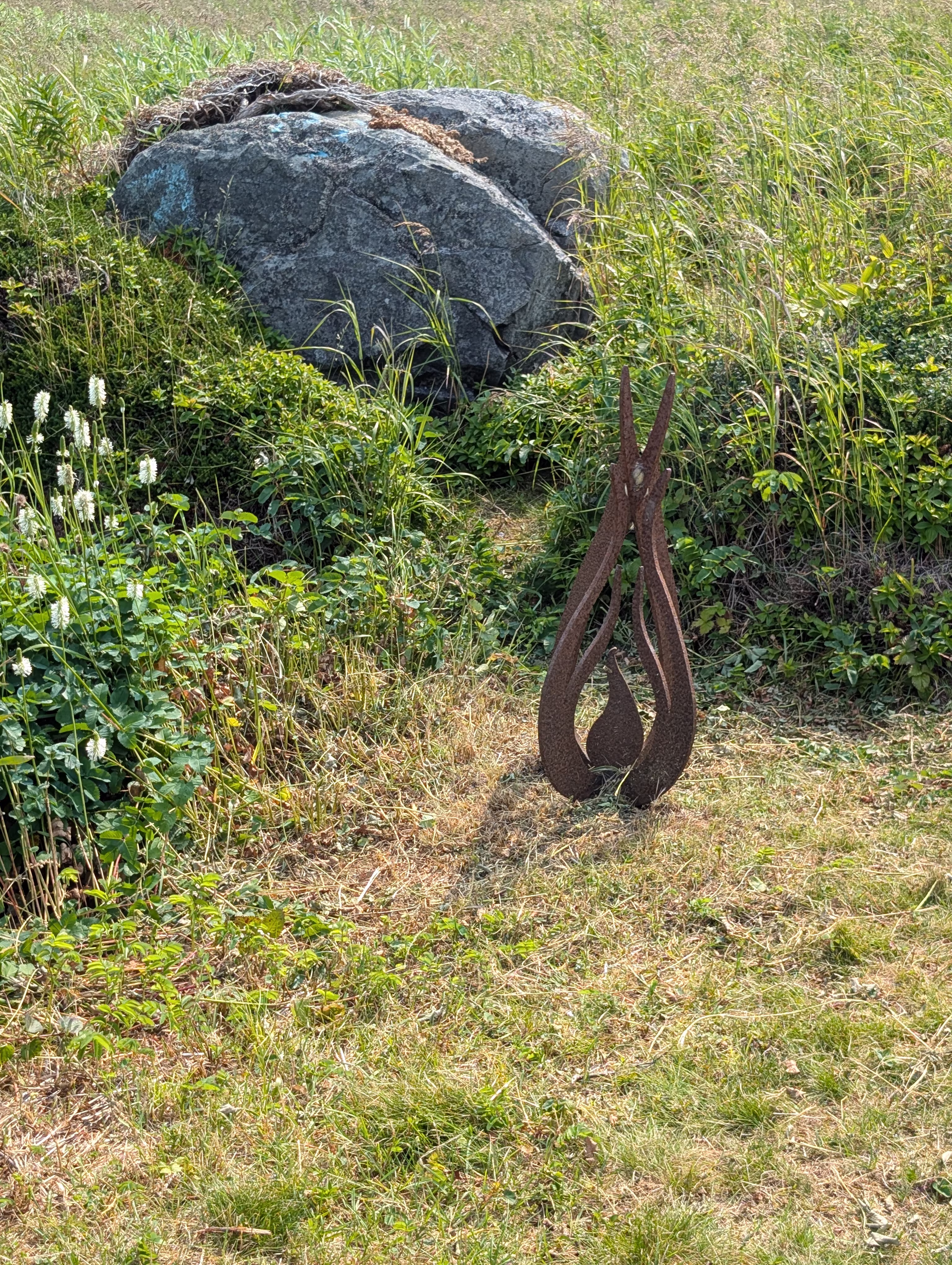 birchy-nuddick-trail 15