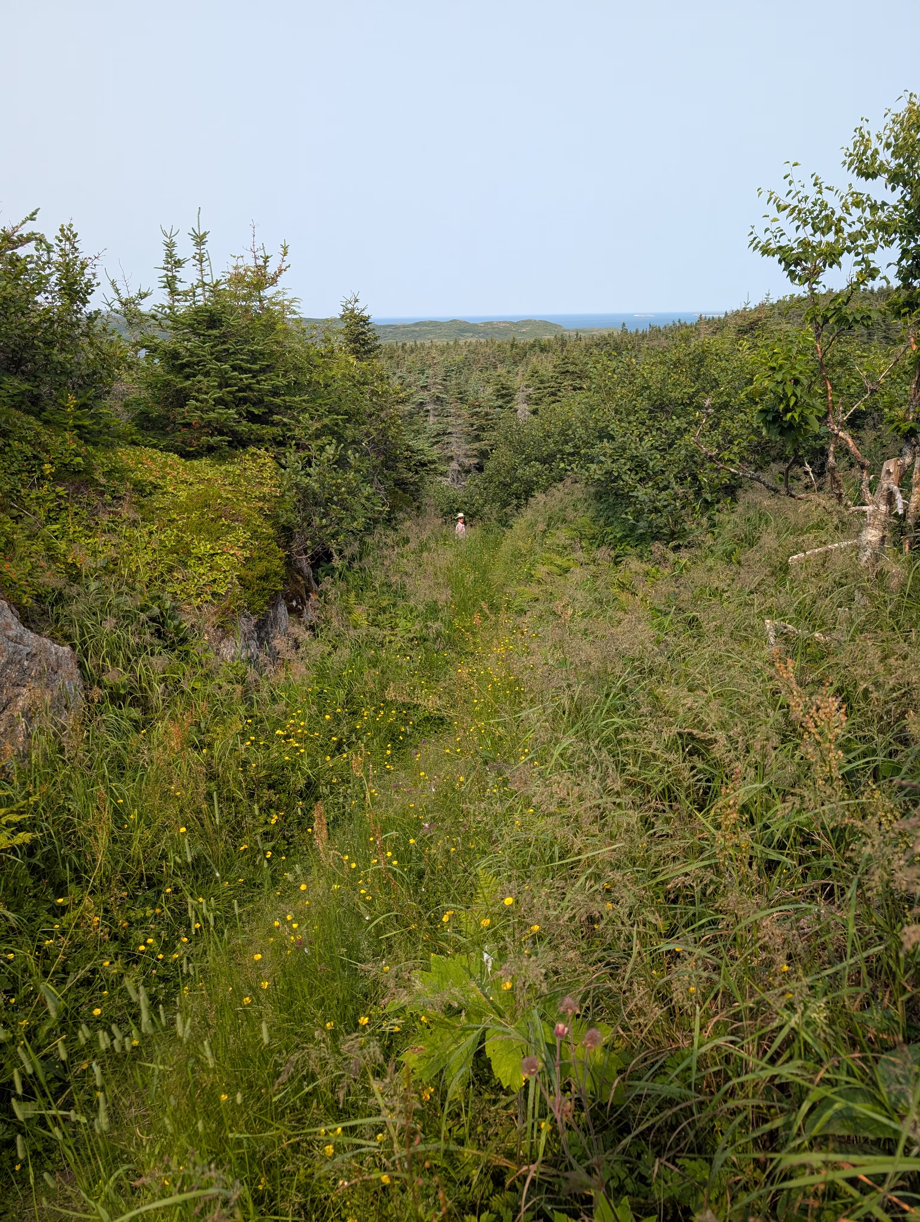 camels-back-trail 3