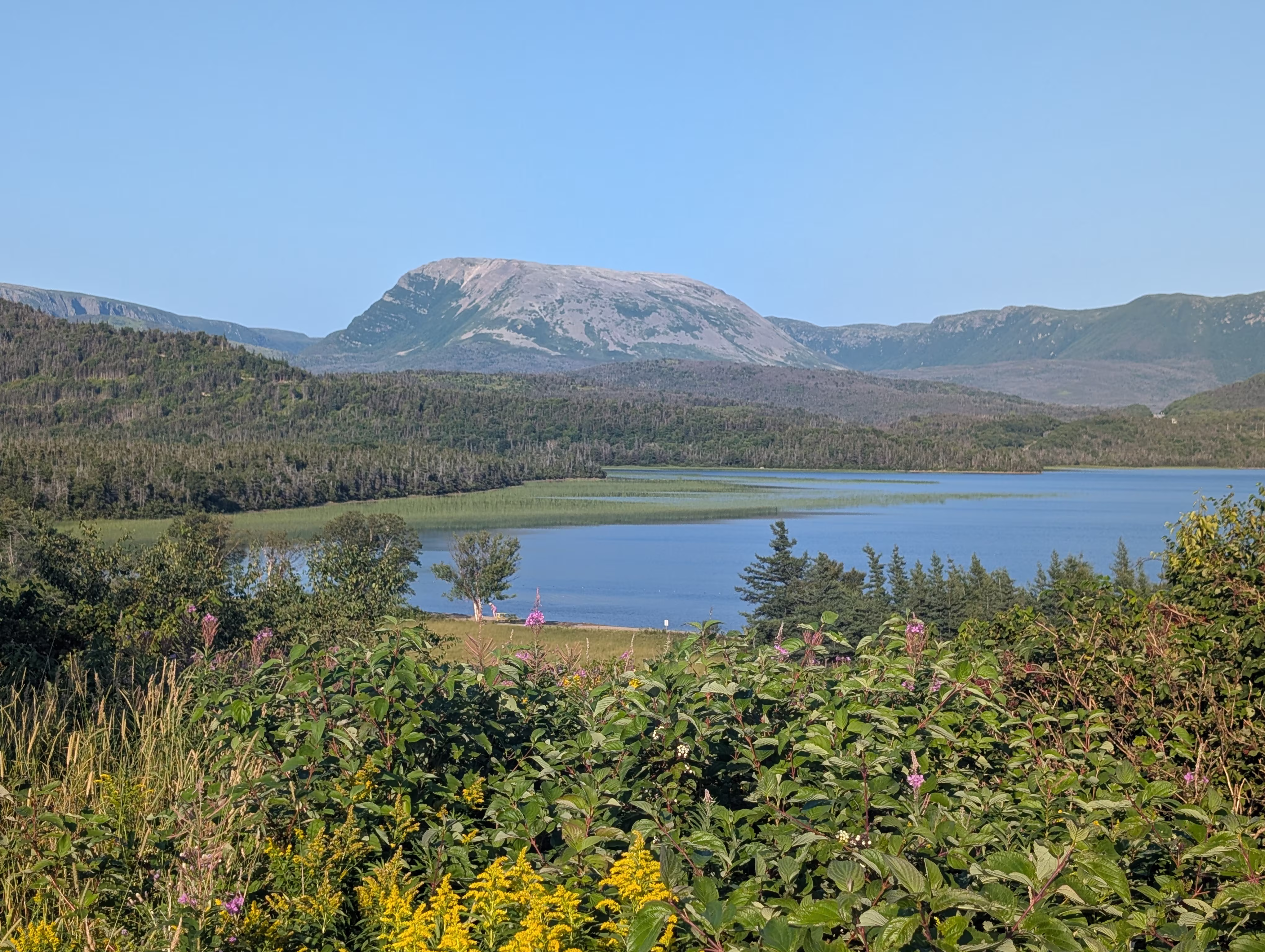 rocky-harbour 3