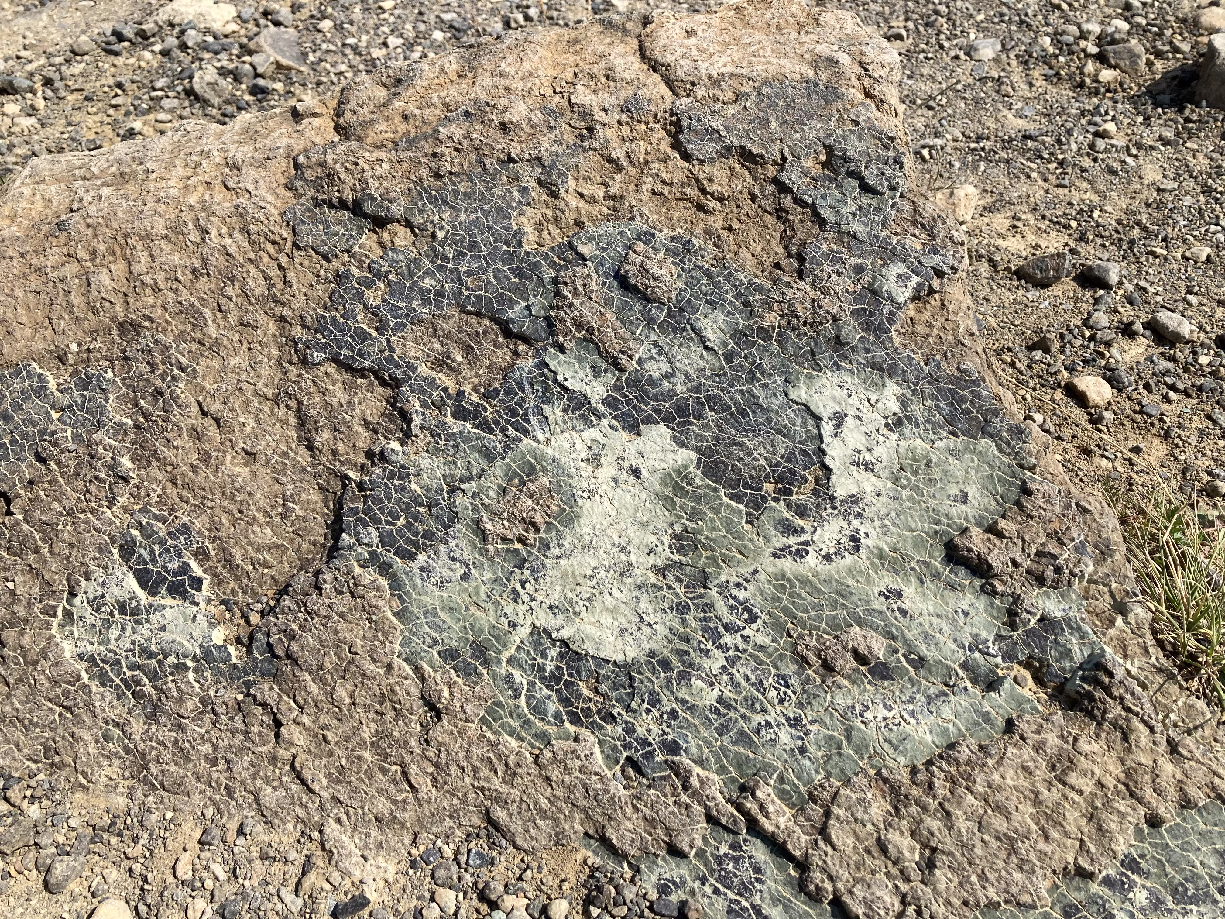 the-tablelands 13