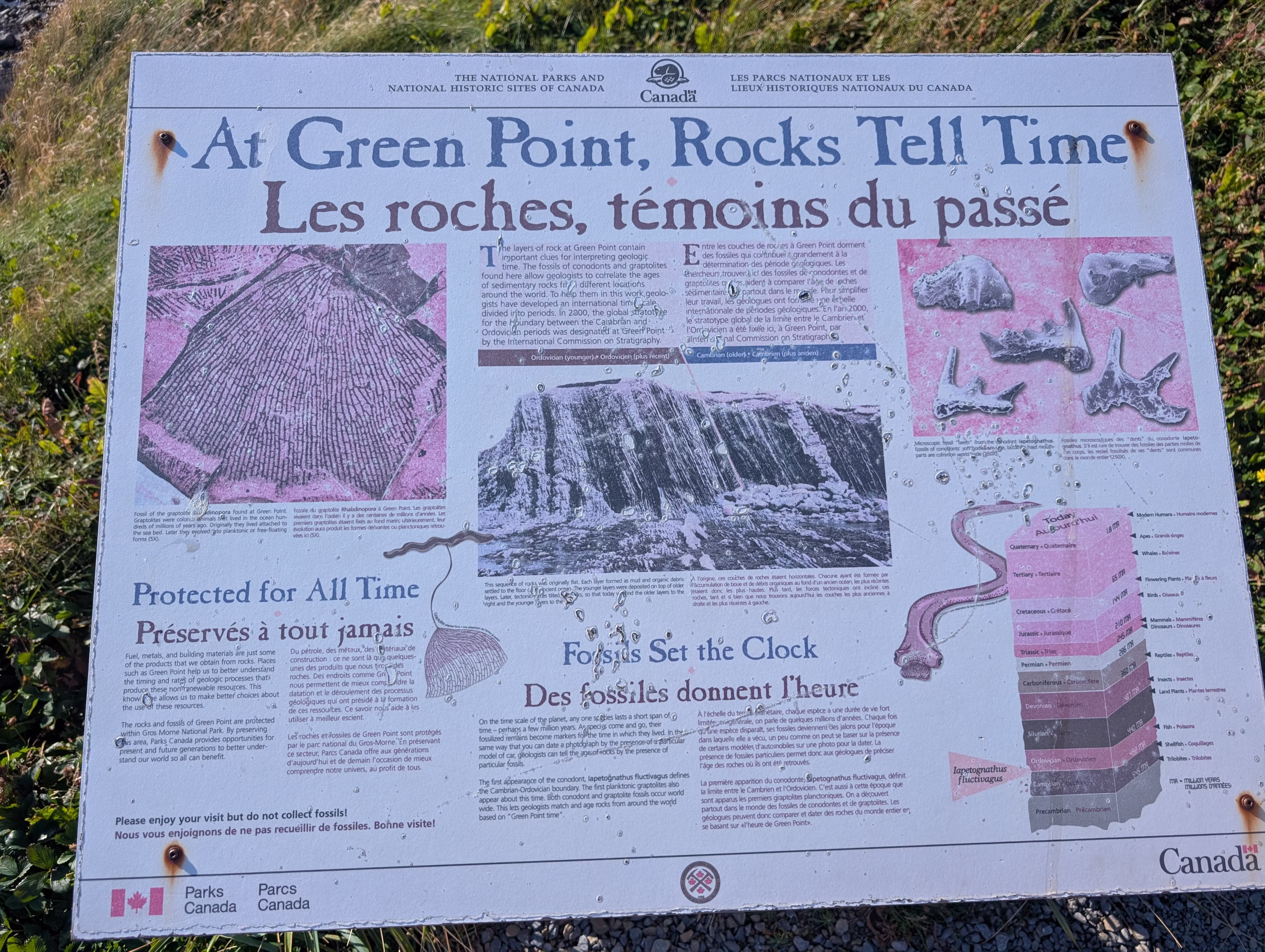 green-point 1