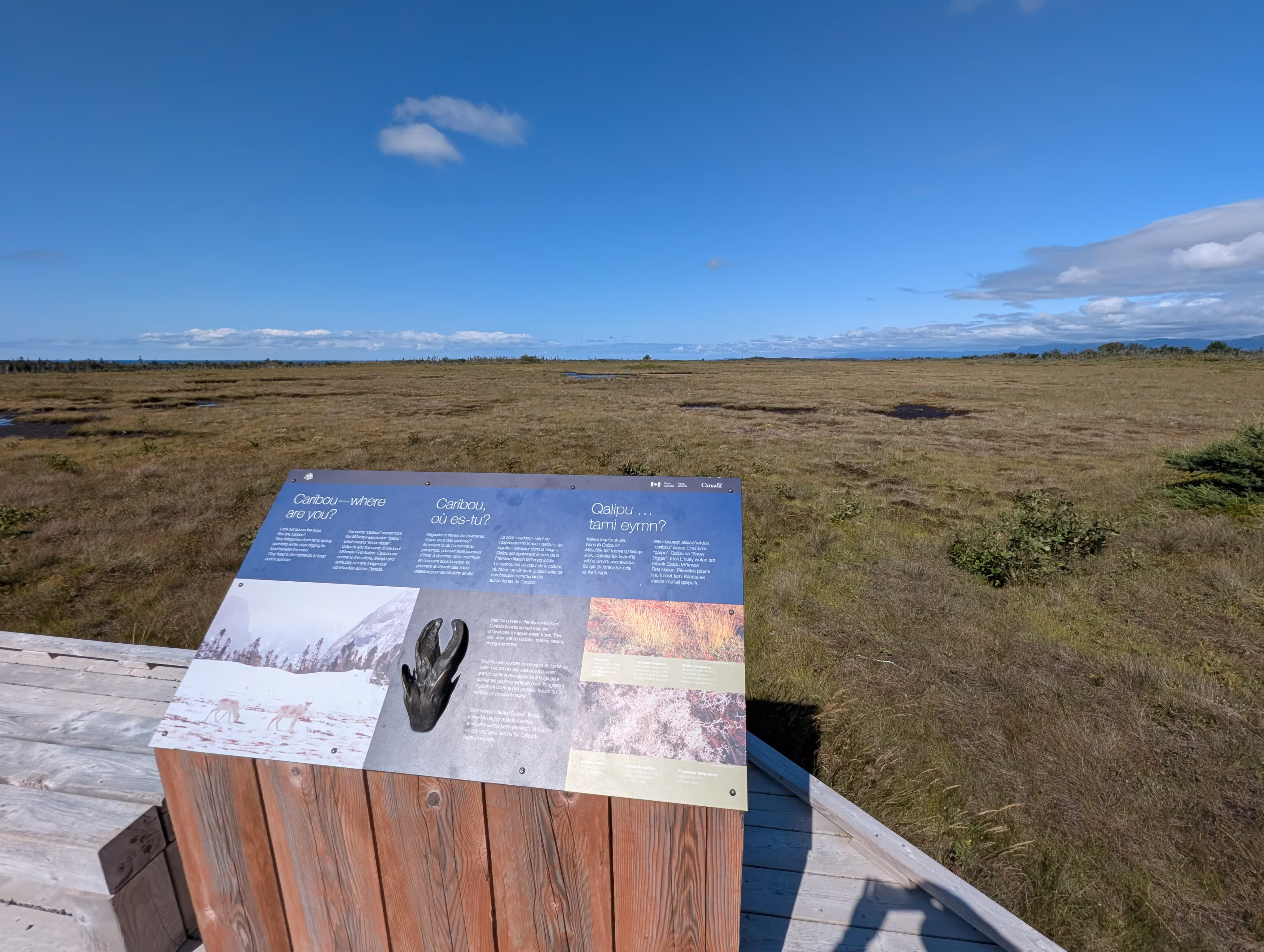 west-brook-pond-approach 14