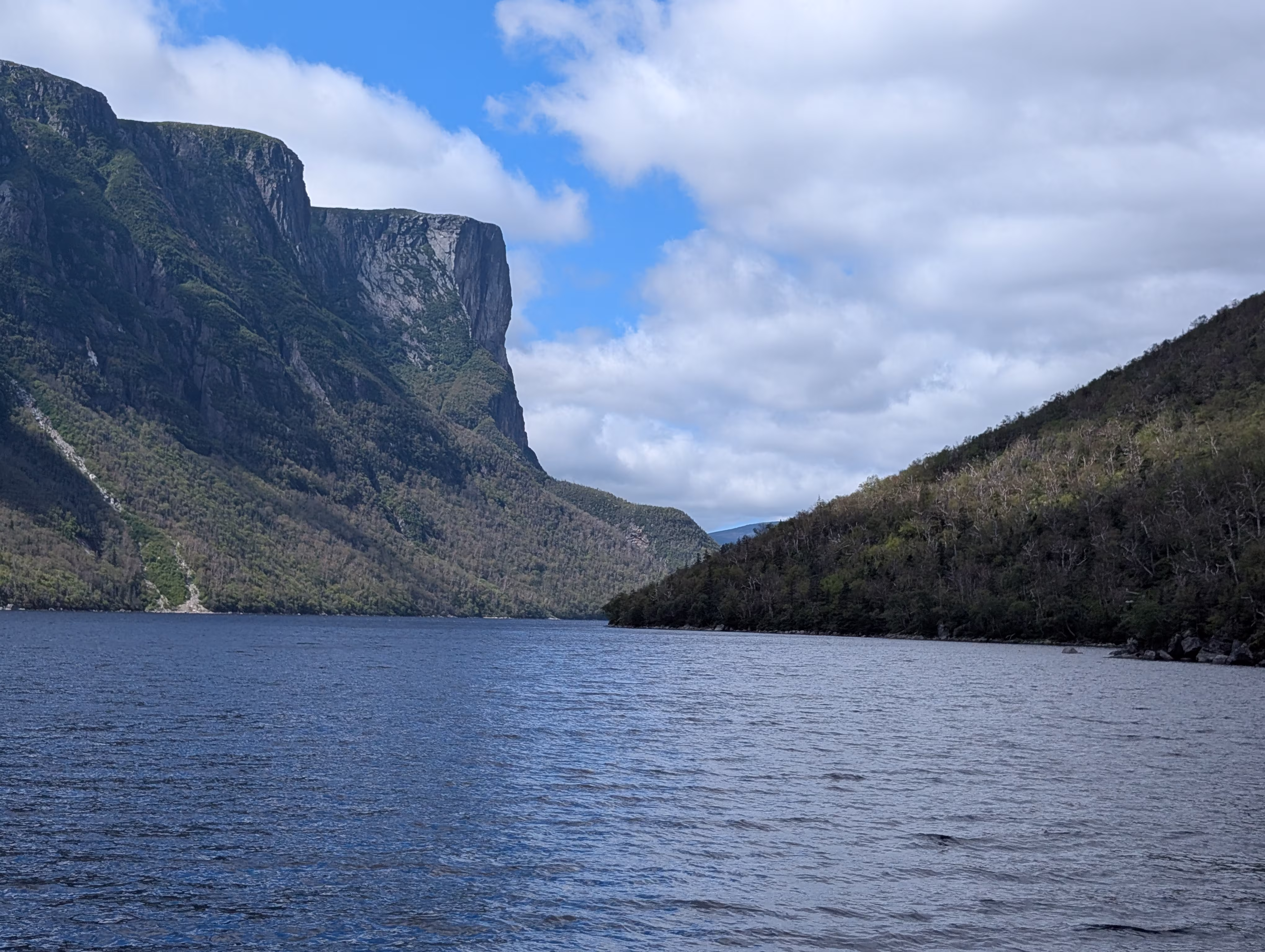 west-brook-pond-boat-tour 11