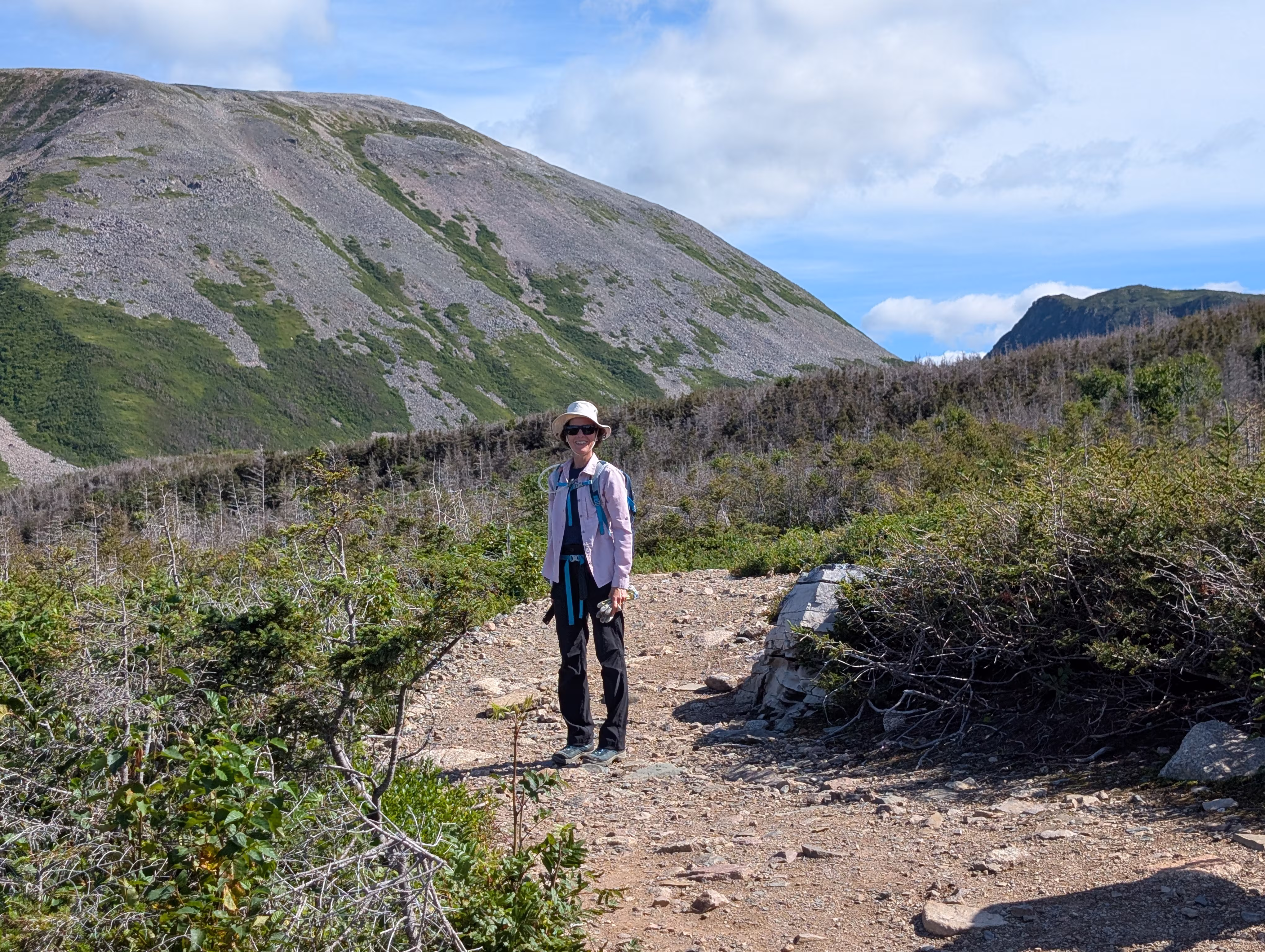 gros-morne-mountain-approach 2