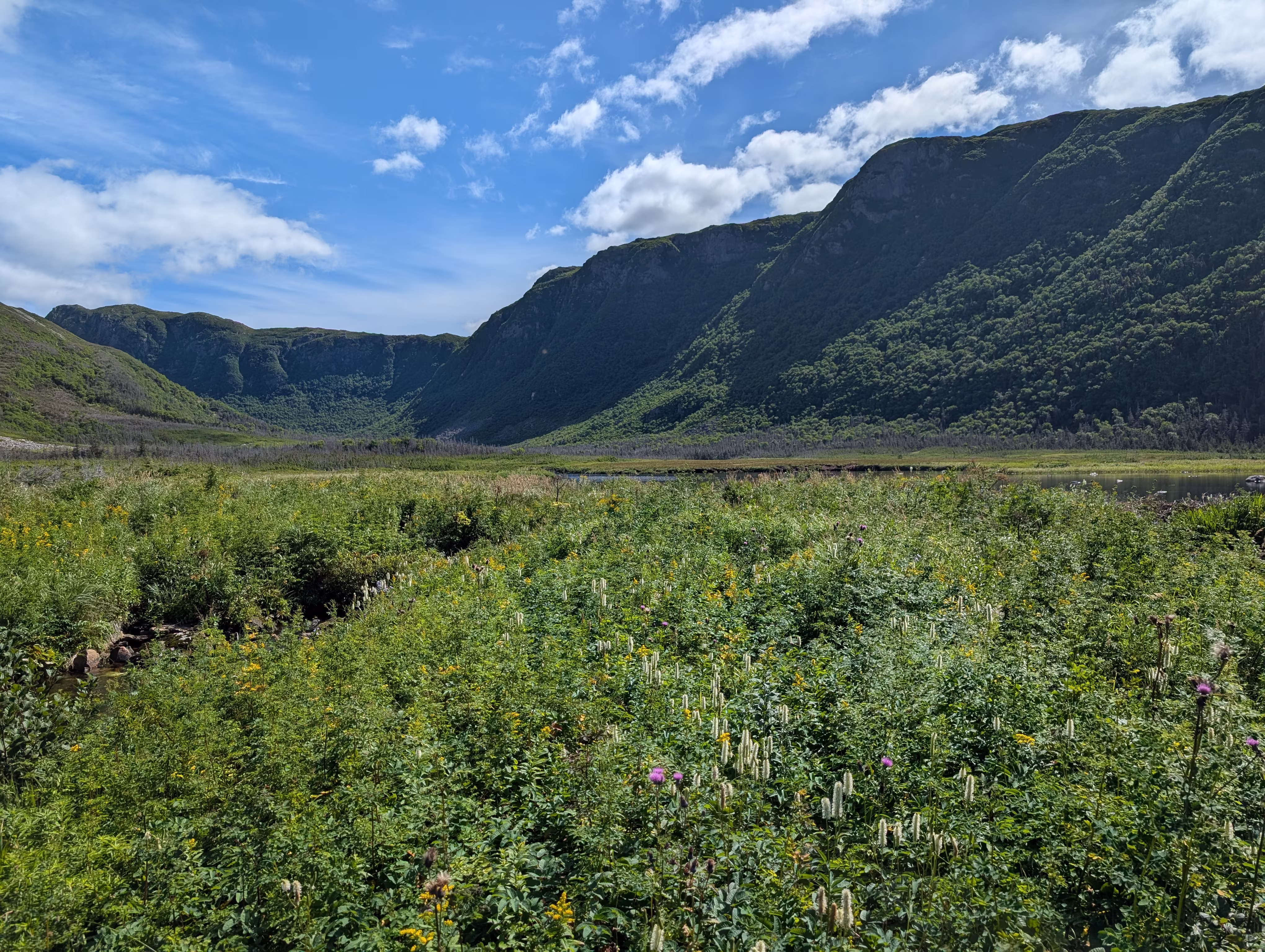 gros-morne-mountain-approach 3