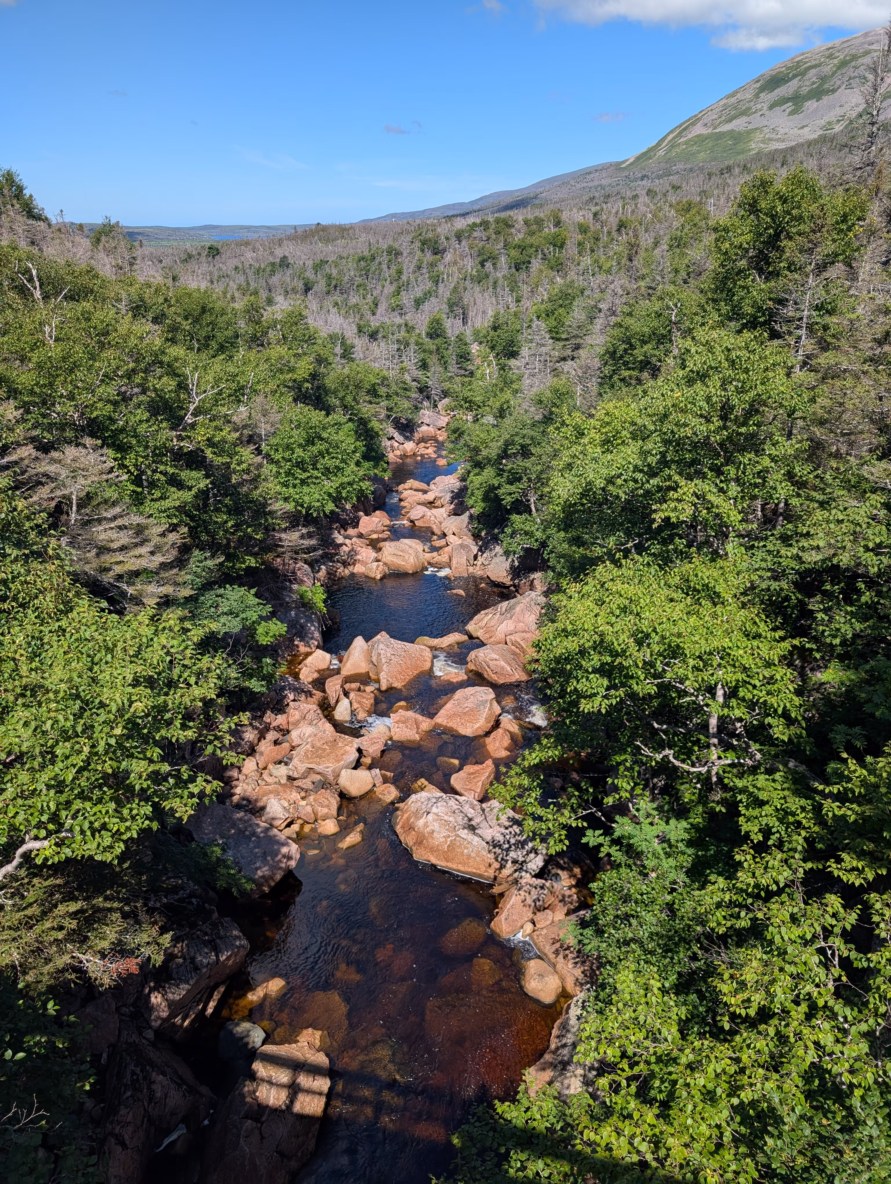 gros-morne-mountain-approach 7