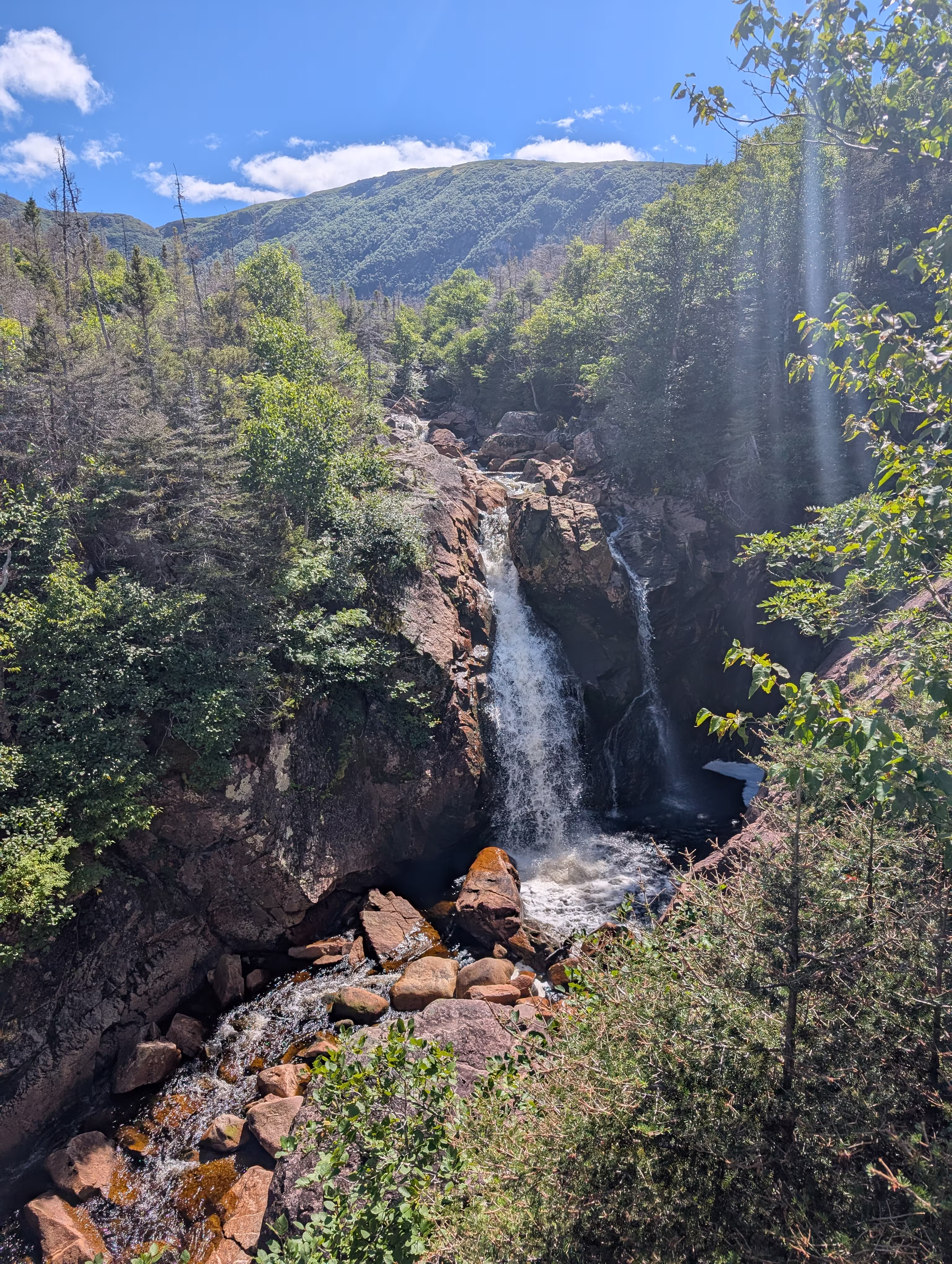 gros-morne-mountain-approach 8