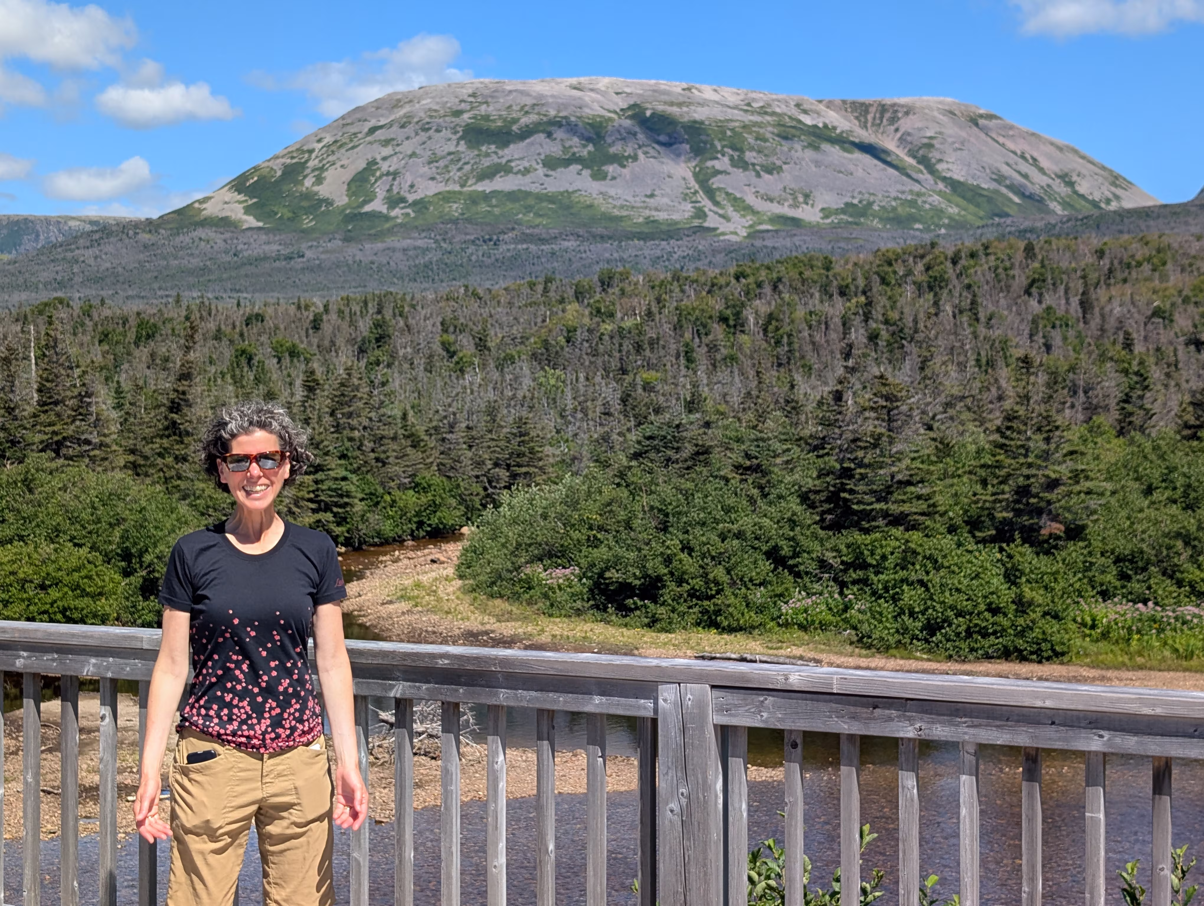 gros-morne-mountain-approach 10
