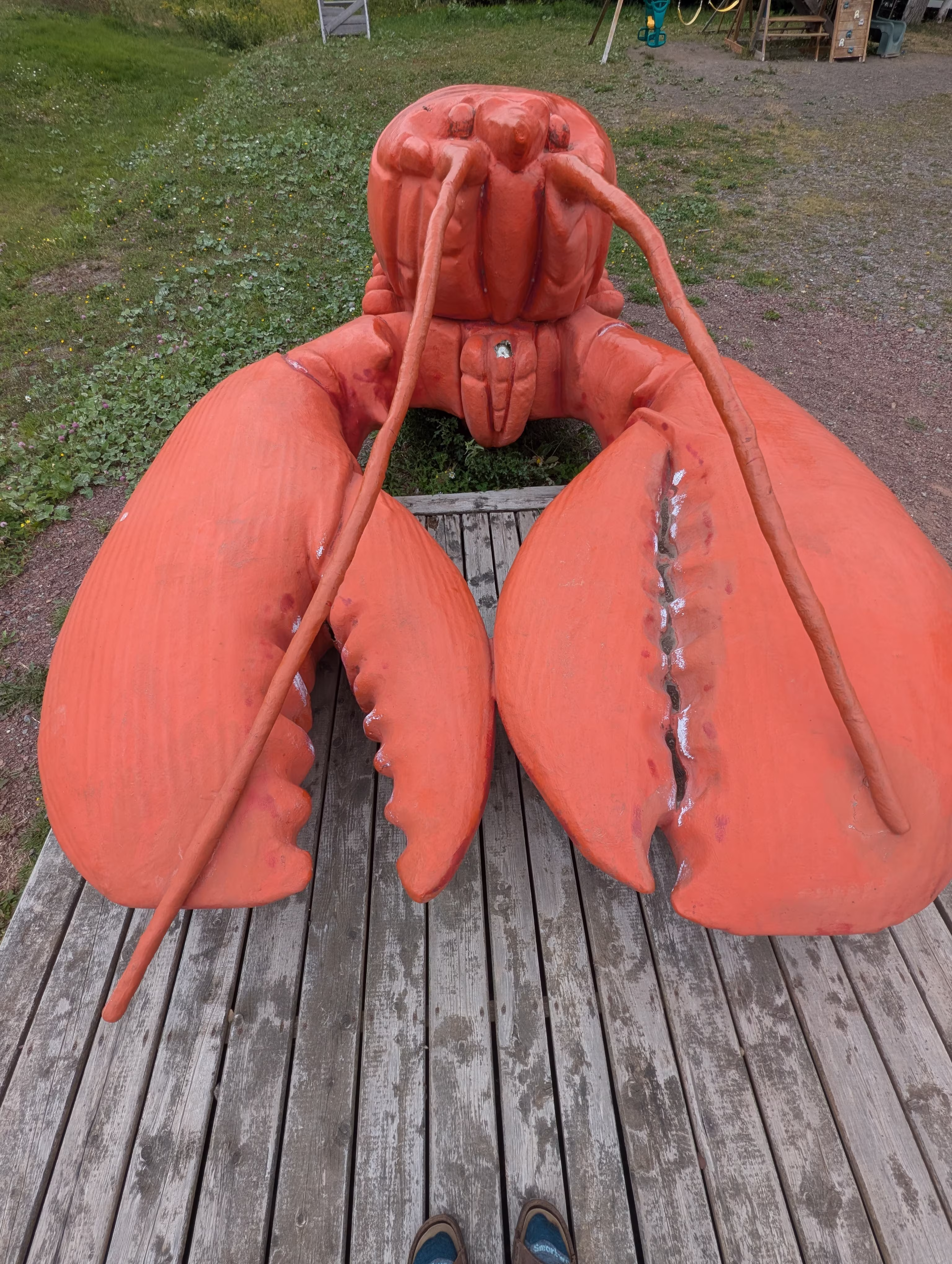 lewisporte-lobster 1